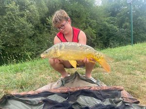 Mirror Carp