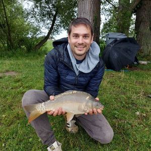 Mirror Carp