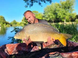 Mirror Carp