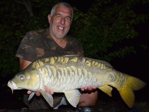 Mirror Carp