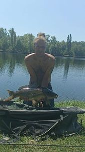 Common Carp