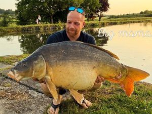 Mirror Carp