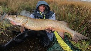 Northern Pike