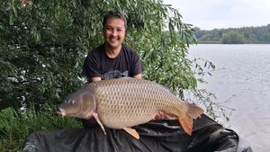Common Carp