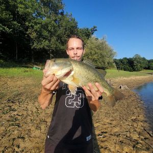 Largemouth Bass