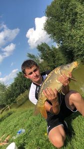 Mirror Carp