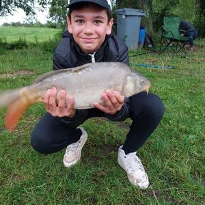 Mirror Carp