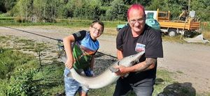 Sturgeon