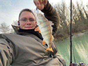 European Perch
