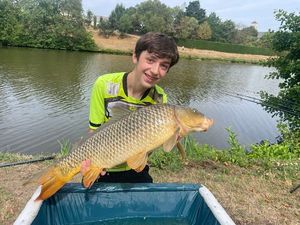 Common Carp
