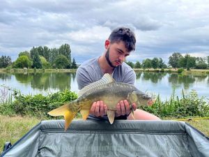 Mirror Carp
