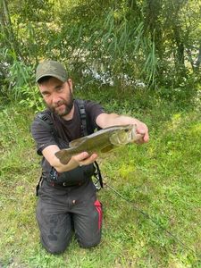 Largemouth Bass