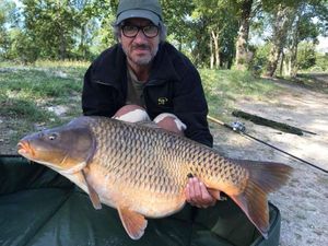 Common Carp