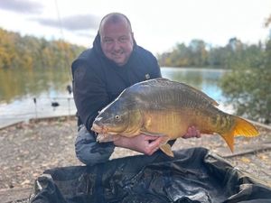 Mirror Carp