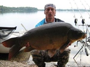 Mirror Carp