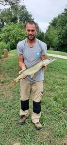 Northern Pike