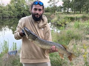 Northern Pike