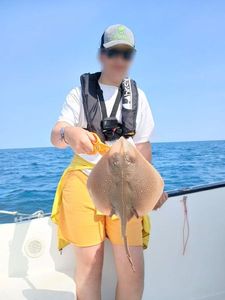 Spotted Ray