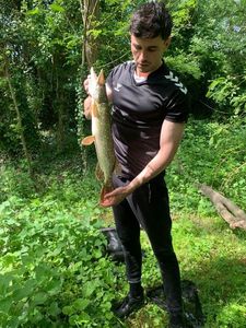 Northern Pike