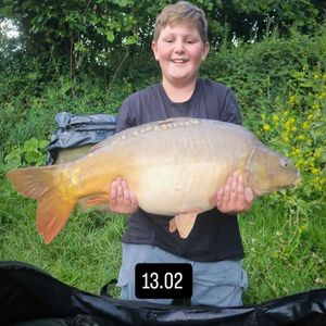 Common Carp