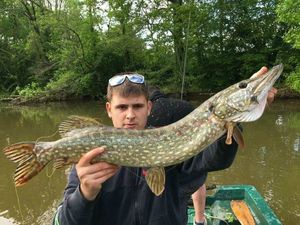 Northern Pike