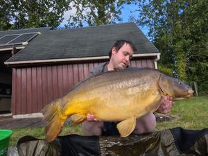 Mirror Carp