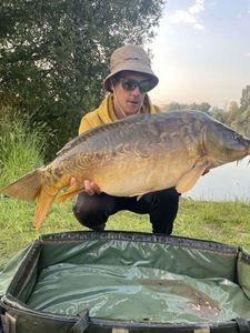 Mirror Carp