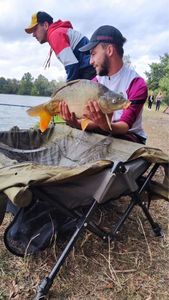 Mirror Carp
