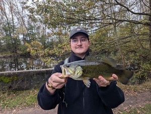 Largemouth Bass
