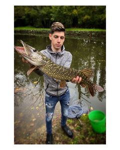 Northern Pike