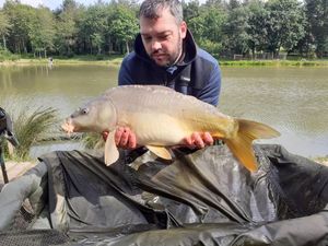 Mirror Carp