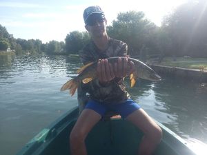 Northern Pike