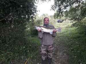Zander