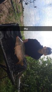 Mirror Carp