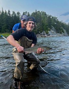Atlantic Salmon