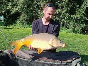 Mirror Carp