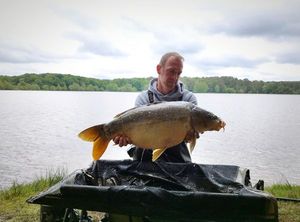 Mirror Carp