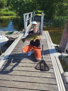 Smallmouth Bass