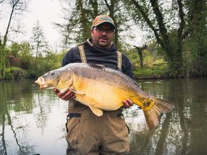 Mirror Carp