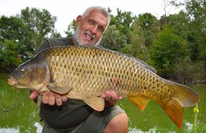 Common Carp