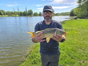 Mirror Carp