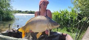 Mirror Carp