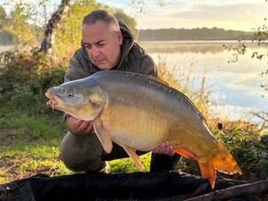 Mirror Carp