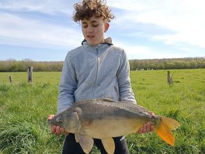 Leather Carp