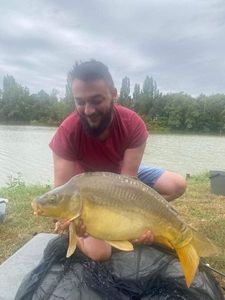Leather Carp