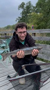 Atlantic Salmon
