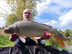 Common Carp