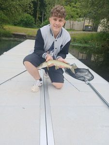 Northern Pike