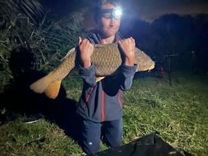 Common Carp