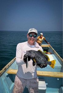 White Grouper